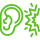shumoizolyaciya